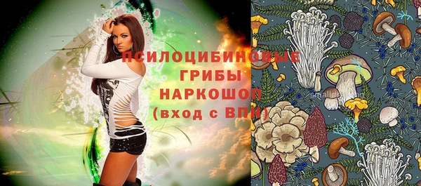спайс Алзамай