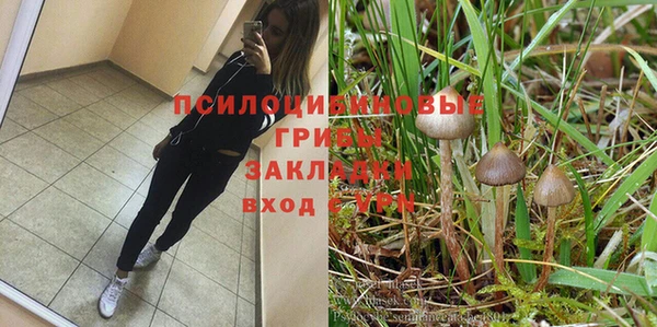 спайс Алзамай