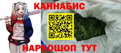 прущие грибы Краснознаменск