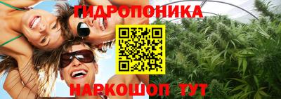 прущие грибы Краснознаменск