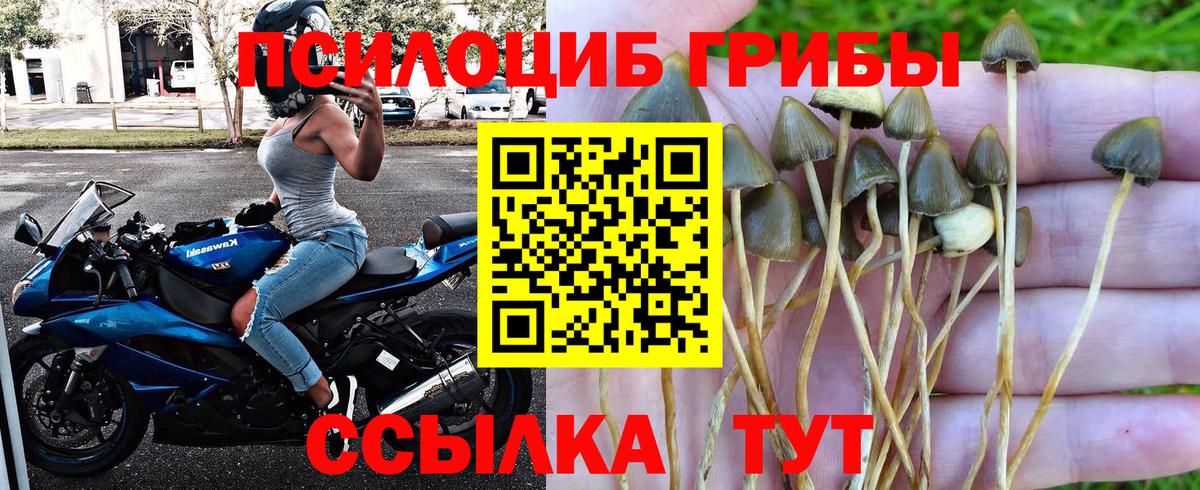Галлюциногенные грибы прущие грибы  Вход с VPN  Конаково  наркотики  Галлюциногенные грибы MAGIC MUSHROOMS 