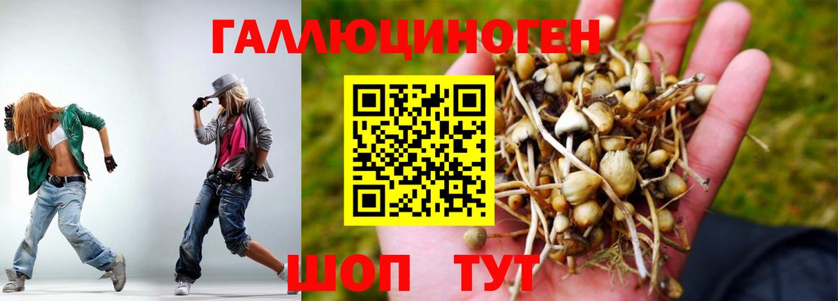 Галлюциногенные грибы Psilocybe Конаково